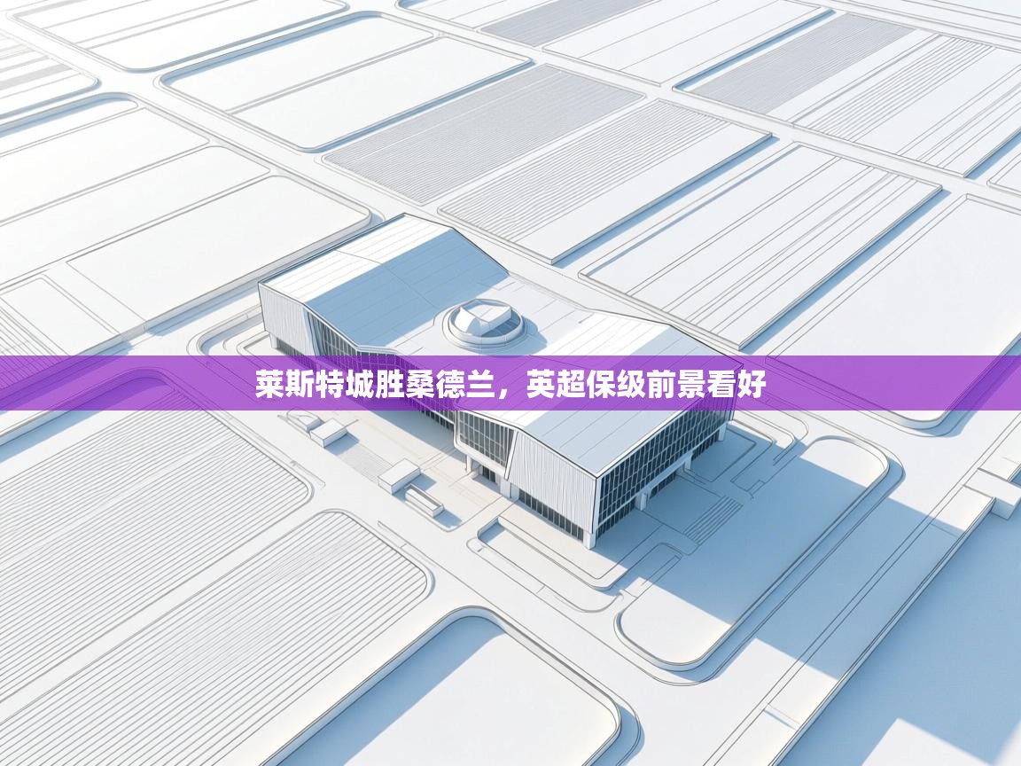 莱斯特城胜桑德兰，英超保级前景看好  第2张