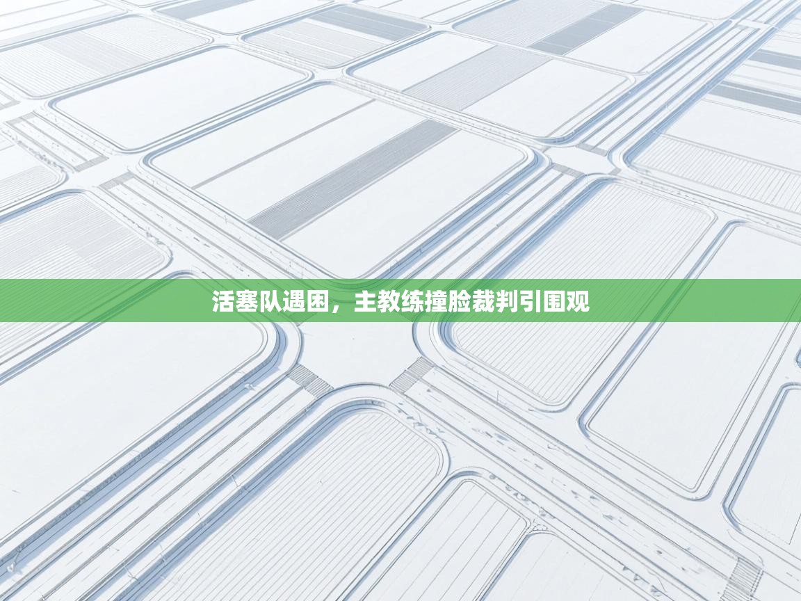 活塞队遇困，主教练撞脸裁判引围观  第1张