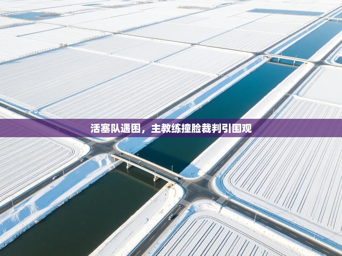 活塞队遇困，主教练撞脸裁判引围观  第2张