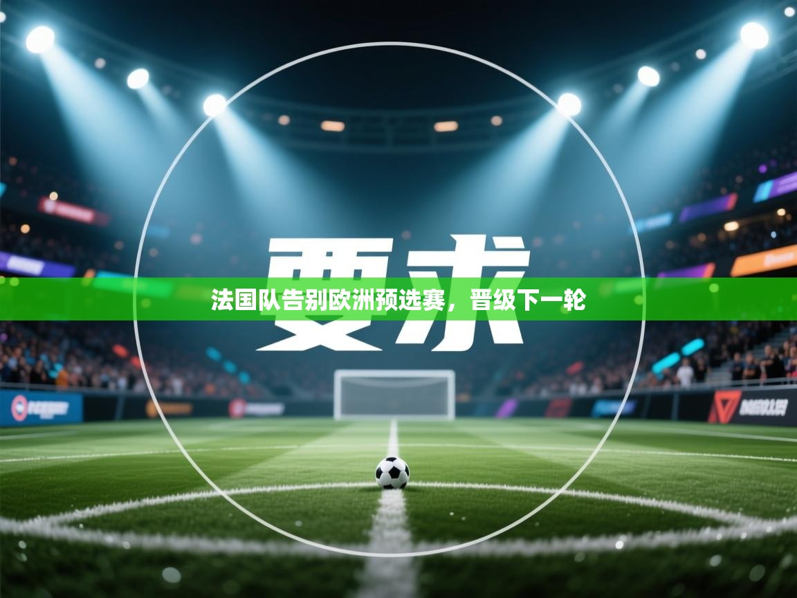 法国队告别欧洲预选赛，晋级下一轮