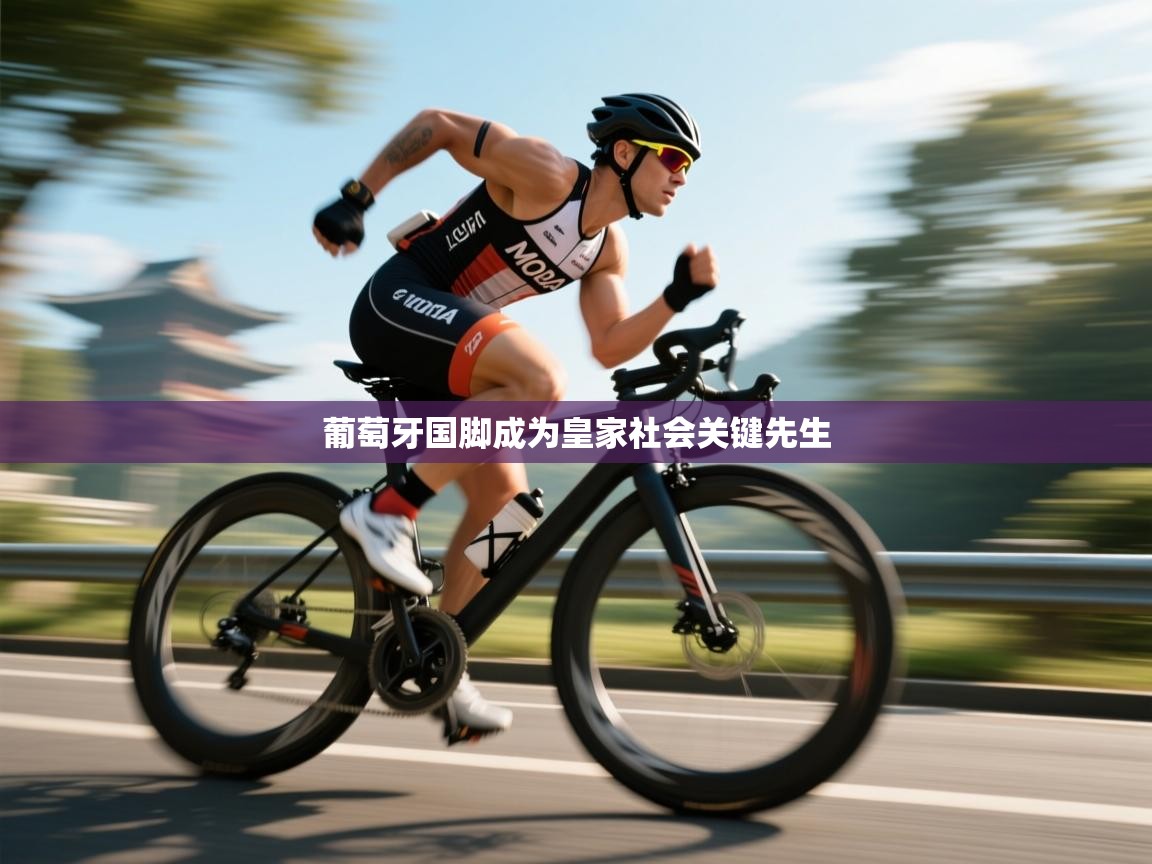 葡萄牙国脚成为皇家社会关键先生 第2张